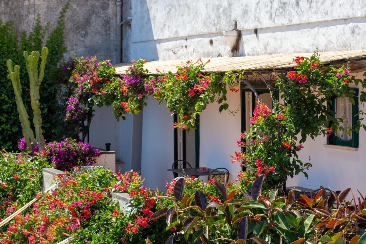 Vila Il Pettirosso In Positano Exteriér fotografie