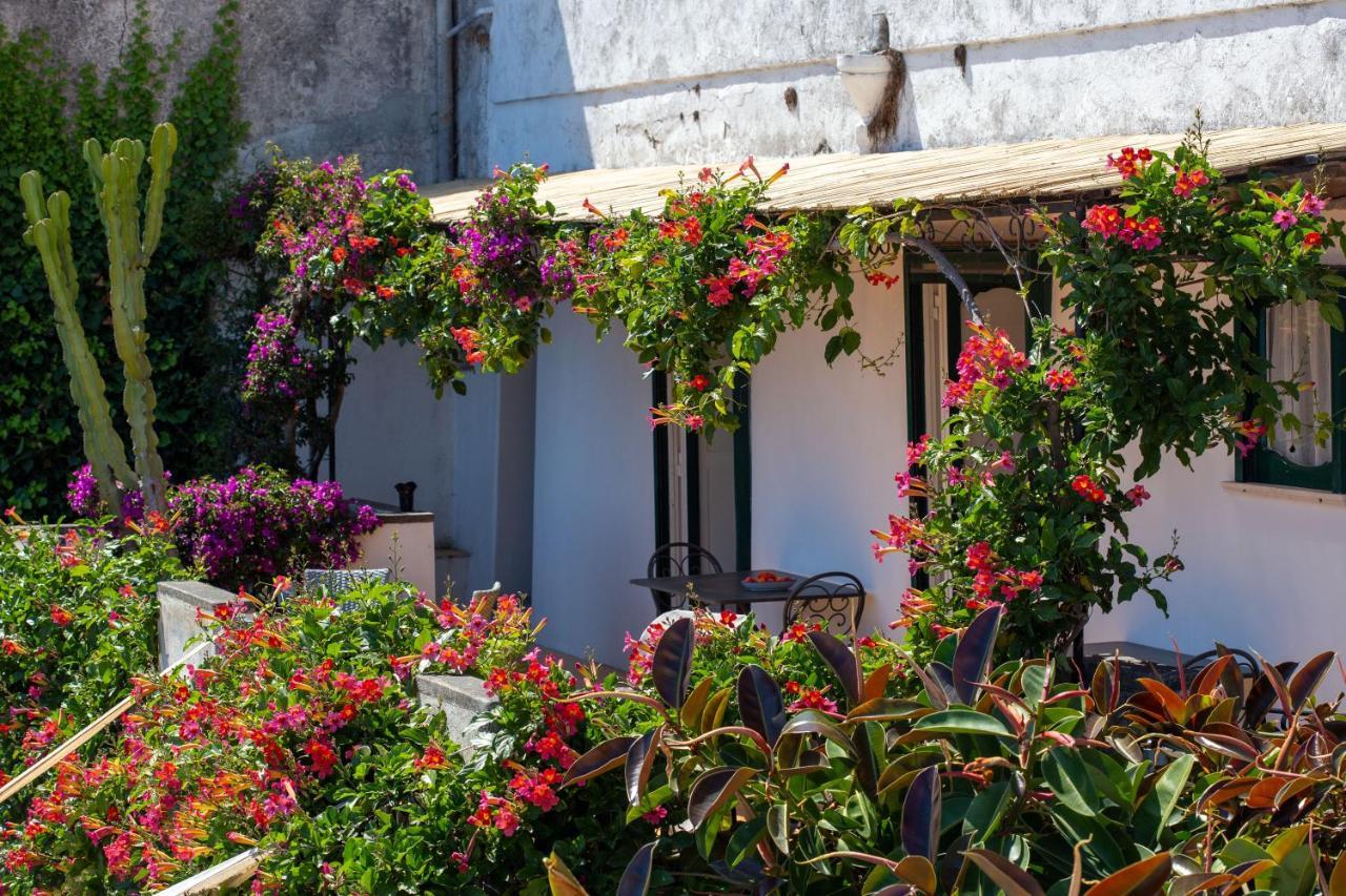 Vila Il Pettirosso In Positano Exteriér fotografie