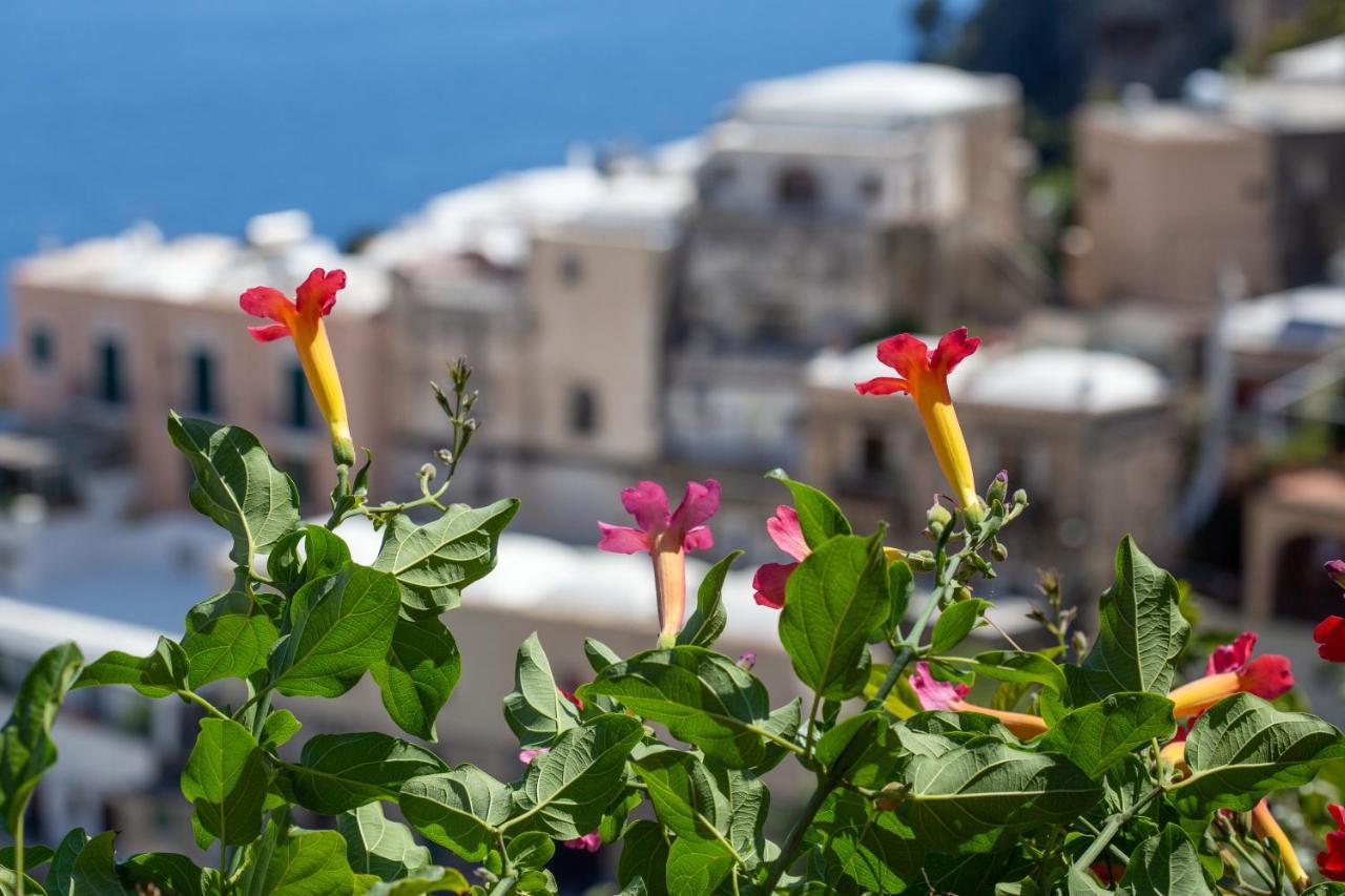 Vila Il Pettirosso In Positano Exteriér fotografie